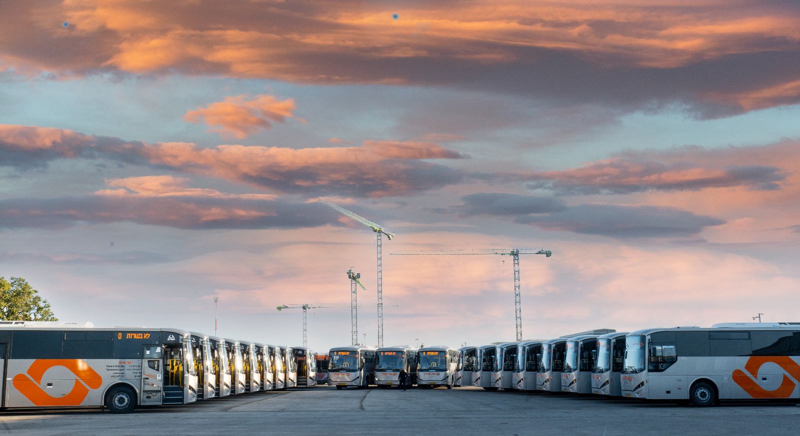 קווי תלמידים